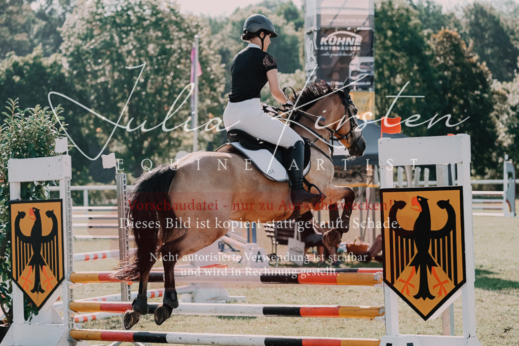 DSC_4850 | Pferde- und Turnierfotografie in Westsachsen. Pferdeportraits, Auftragszeichnungen und intuitive Kunst.