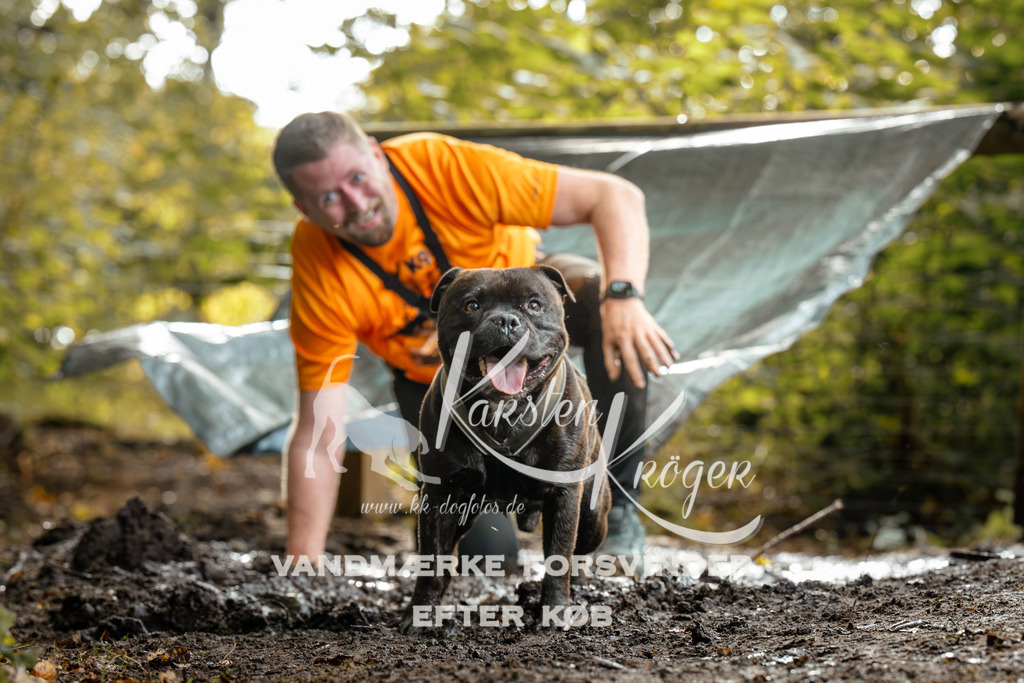 1458DZ6_4116Z6 | kk-dogfotos