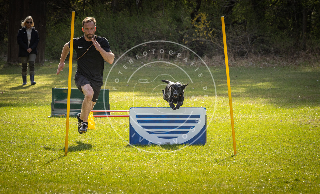 Pfotenfotografie_DV3A2968 | Hundefotografie, Tierfotograf, Pfotenfotografie, Fotoshooting Hund, Hunde Portrait, Hundesport, Hundeportraits, Heideshooting, Hunde, Sportfotograf, Hundefotograf, Turnierhundsport, THS,  - Realisiert mit Pictrs.com