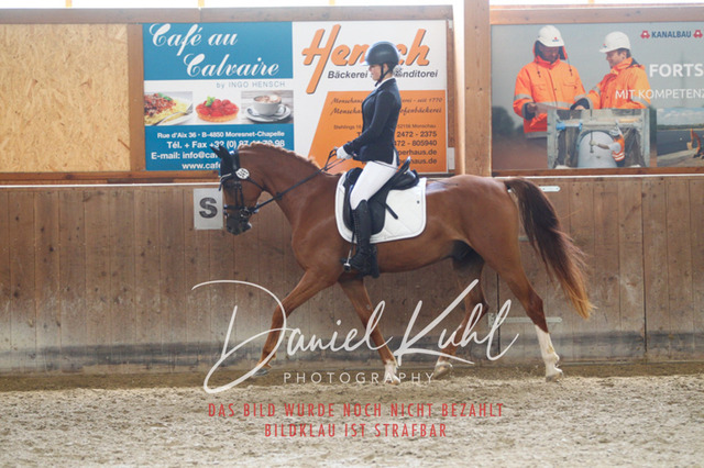 DKP45419 | Turniersportfotografie; Pferdefotografie; Dressurfotografie