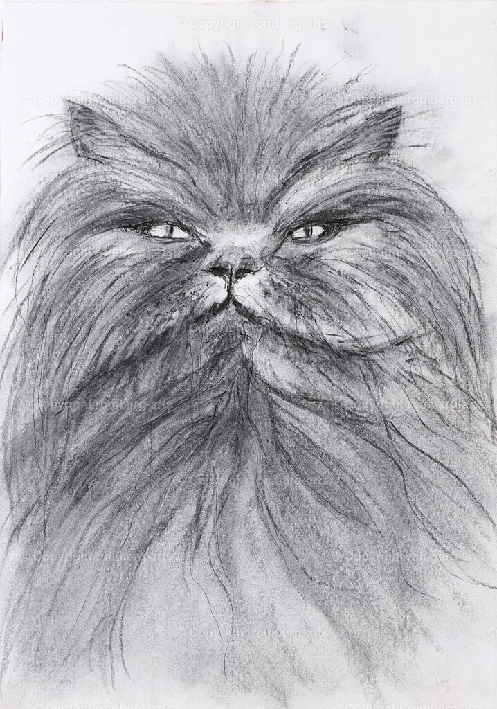 L1020489 (2) | romberg-arts, romberg-arts.de, www.romberg-arts.de, Foto_Online_Shop, Julia Fuhrmann, Köln, Fotos, Fotografie, Fotokunst, Kunstdrucke, Naturfotos, Aktfotos, Nacktfotos, schwarz_weiß_Fotos, Blumenfotos, Blumen, Tiere, Beton, Korrosion, Lächeln, Drucke