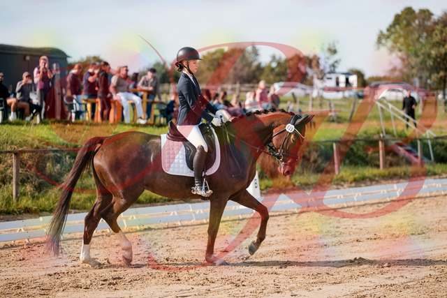 2026_10_03_Siefer-Hof_114720_Z63_25794835 | Professionelle Reitsport-, Turnier- und Eventfotografie von Robert Broda. Galerien mit ausgewählten und bearbeiteten Bildern direkt online ansehen und bestellen.