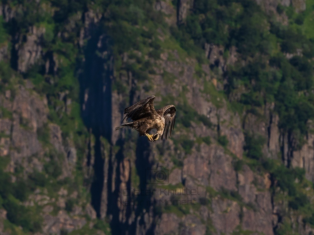 P1001684-LR-topaz-enhance | Natur im Moment - Realisiert mit Pictrs.com