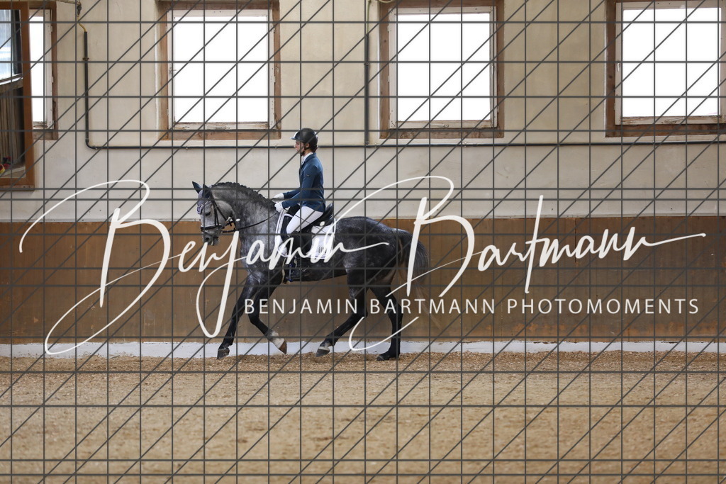 AZ2A7970 | Benjamin Bartmann Photomoments