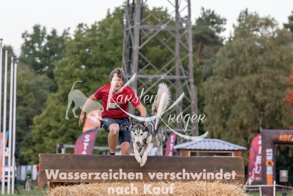 0802_ZZ93927-Bearbeitet | kk-dogfotos