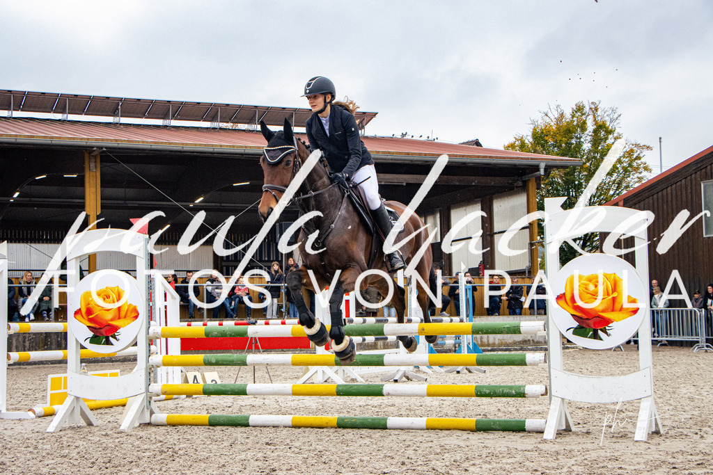 IMG_4176 | Erleben Sie dynamische Sport- und emotionale Tierfotografie in Süddeutschland mit Fotos von Paula. Spezialisiert auf Pferde- und Hundefotografie sowie Sportevents. Kontaktieren Sie mich für einzigartige und ausdrucksstarke Bilder Ihrer besonderen Momente. - Realisiert mit Pictrs.com
