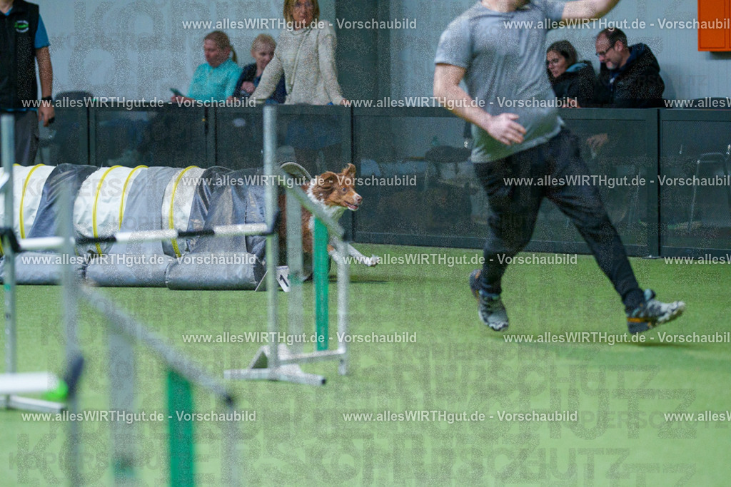 @allesWIRTHgut_Tierfotografie - www.allesWIRTHgut.de - 2604251057-7R500667 | Professionelle Tierfotografie in Mönchengladbach von Daniel Wirth (allesWIRTHgut). Liebevolle & natürliche Bilder von Hunden & Katzen für unvergessliche Erinnerungen.