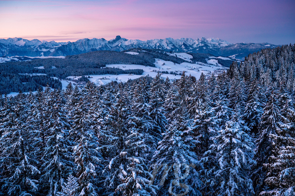 dawn in Emmental with Stockhorn and snowy forest in the hills of Emmental | Die ideale Geschenkidee für Naturliebhaber. Naturbilder von Marcel Gross Photography für ihr Zuhause in den verschiedensten Formaten und Materialien. - Realisiert mit Pictrs.com
