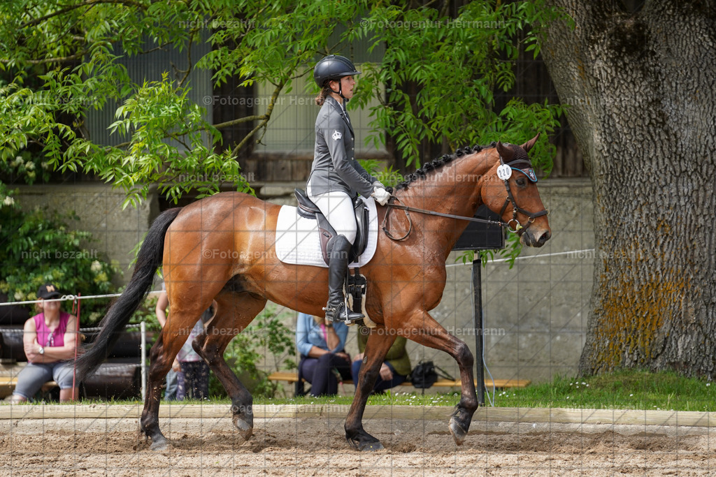 20240519-FAH05276 | Turnierbilder Niederseeon 2024, Vielseitigkeitsdressur, Reitsportbilder aus dem Landkreit Ebersberg, Gut Steinsee, RC Steinsee, Fotoagentur Herrmann