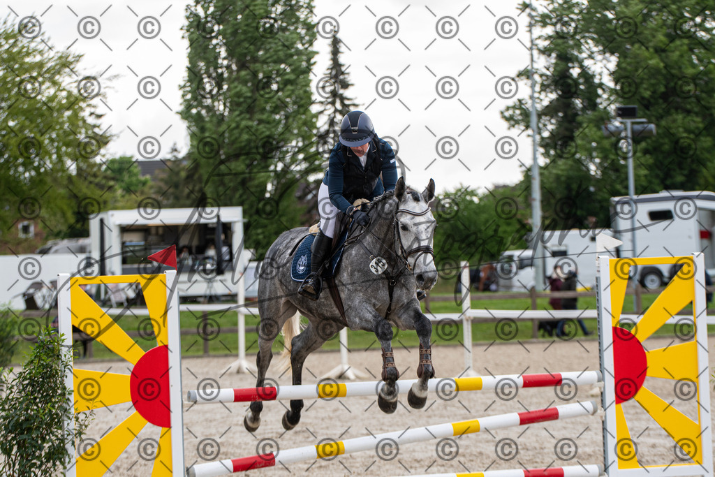 KPT_7804 | andre_photographic