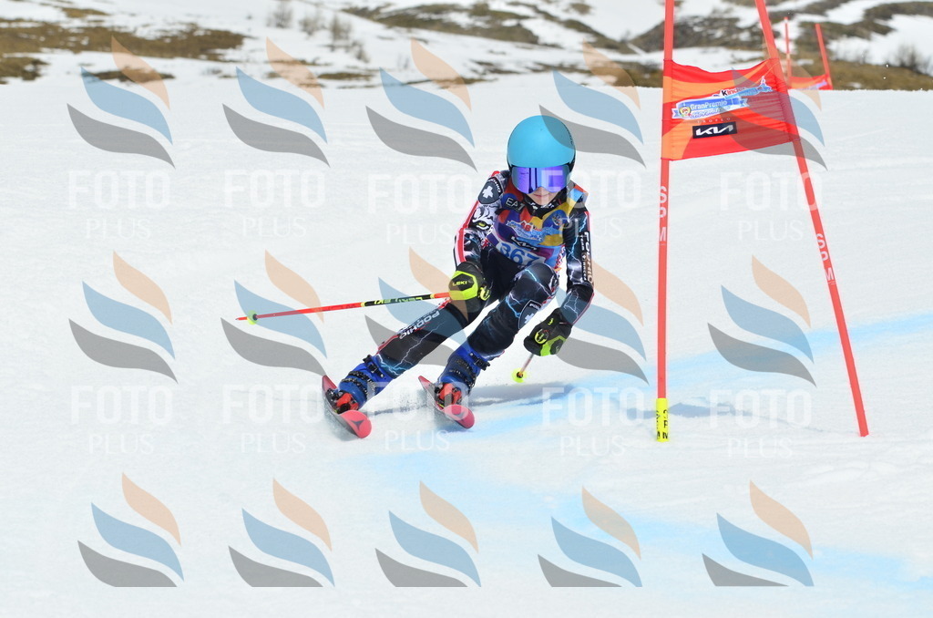 _ELE2975 | holidayphoto