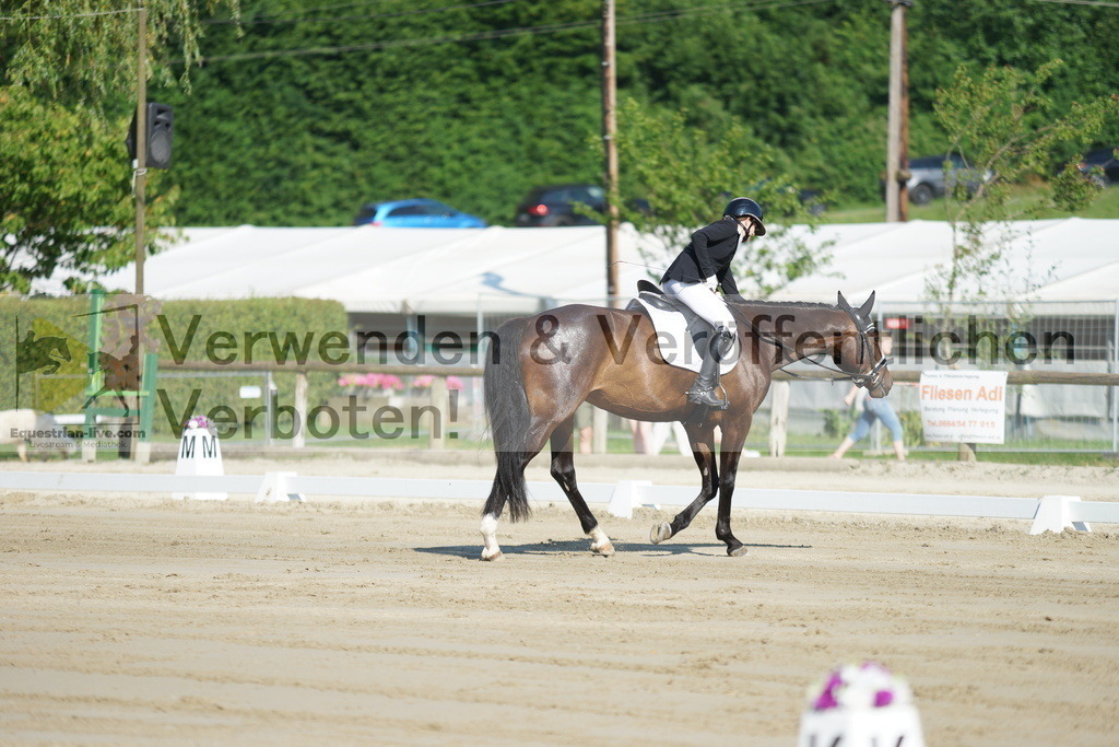DSC03952 | equestrian-live-com