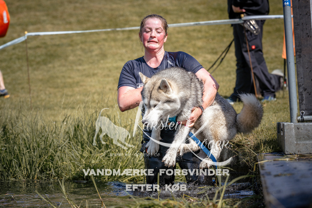 _ZZ933800938 | kk-dogfotos