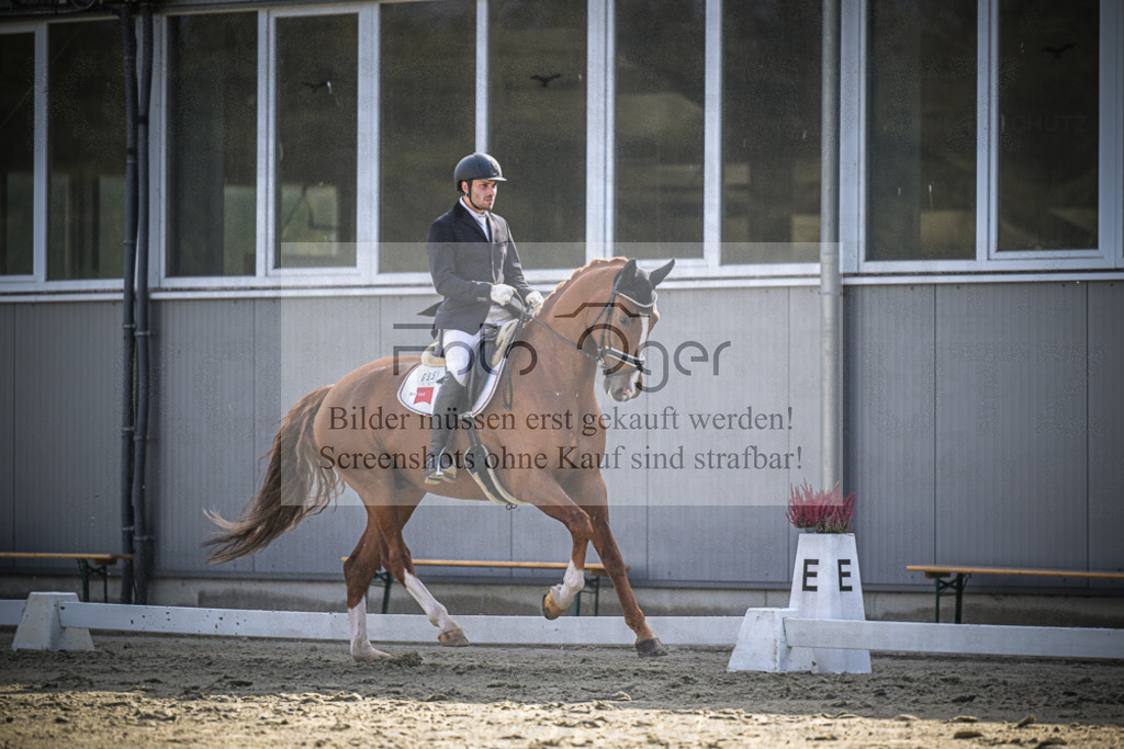 DOS_0699 | Entdecke hochwertige Reitturnierfotos von Foto Oger. Professionell, emotional und authentisch – jetzt Lieblingsmomente im Shop bestellen.Deutschlandweite Turnierfotografie. - Realisiert mit Pictrs.com