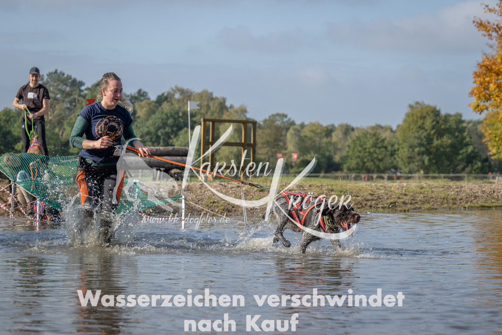 1103_ZZ91203 | kk-dogfotos