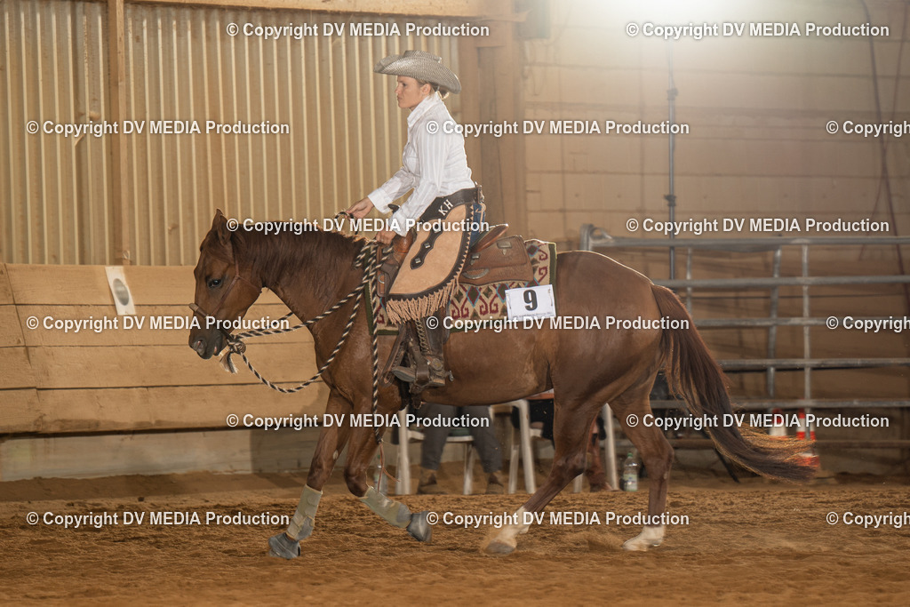 NID01503 | dv-media-shop - Realisiert mit Pictrs.com