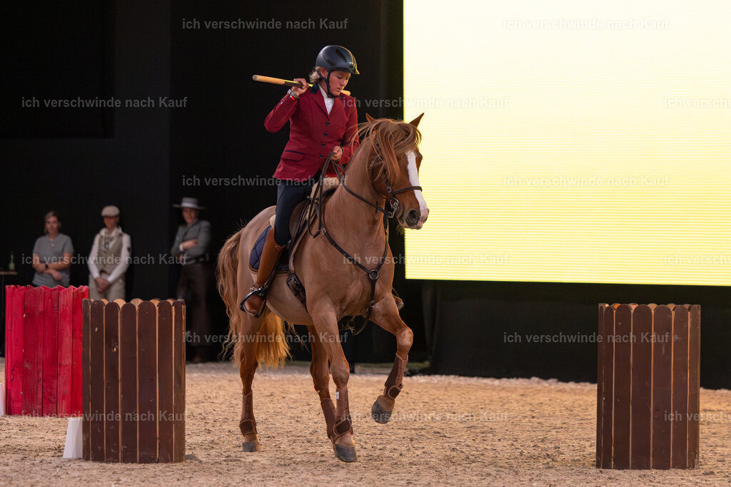 JoseraCup-78 | working equitationturnier fotograf videograf stoibphotography marixx film working equitation deutschland reitsport turnierfotografie eventfotografie equestrian events