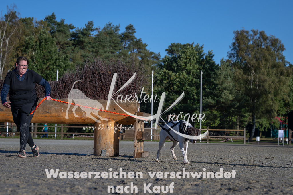 1025-_ZZ91093 | kk-dogfotos