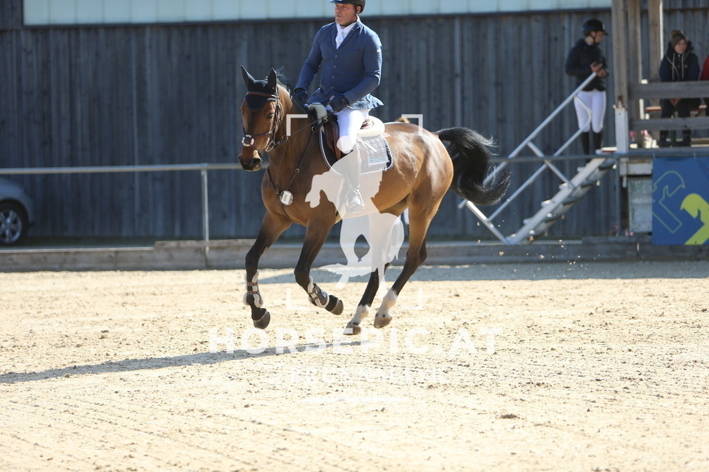 DL2Q8245 | Willkommen bei Brunnmayr - Design & Fotografie – Ihrem Spezialisten für Reitturniere und Pferdeveranstaltungen in Oberösterreich, Salzburg und Bayern! Seit über 17 Jahren sind wir leidenschaftlich dabei.