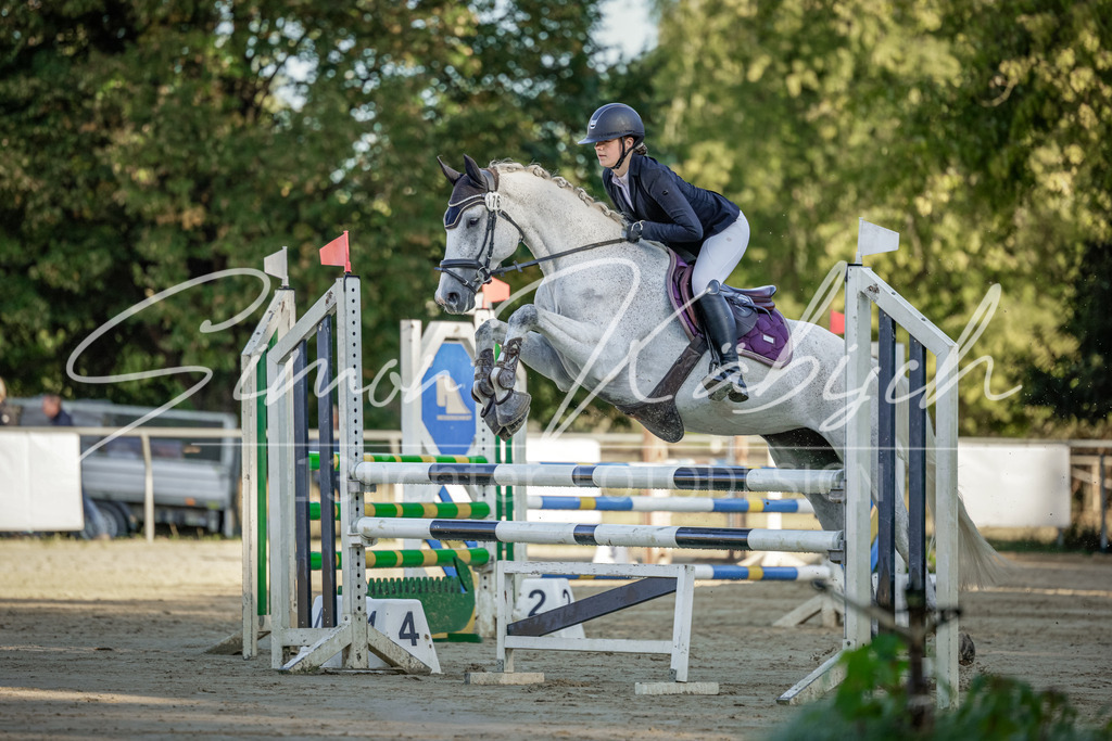 20250906-_3LI2922 | Tierfotografie Pferde, Hunde, Katzen, Haustiere.
Turnierfotografie Reitturniere, Reiten, Springreiten, Dressur in Hanau, dem Main-Kinzig-Kreis und dem Rhein-Main- Gebiet um Frankfurt