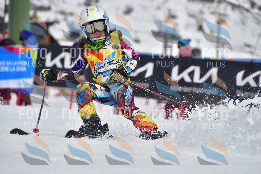 _DSC6946 | holidayphoto