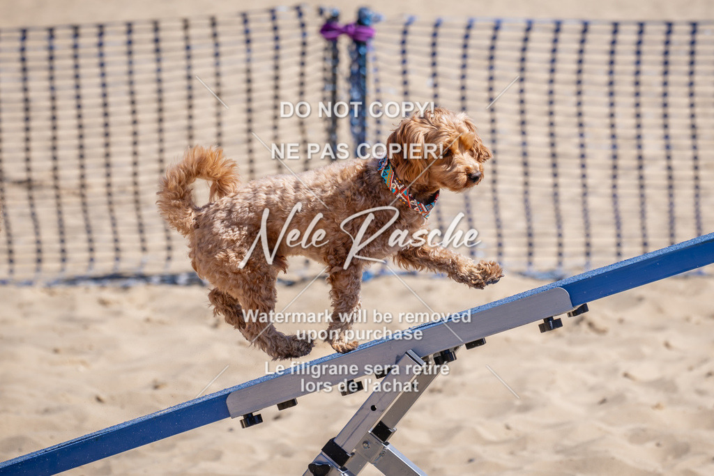 NR__1276 | nelerasche