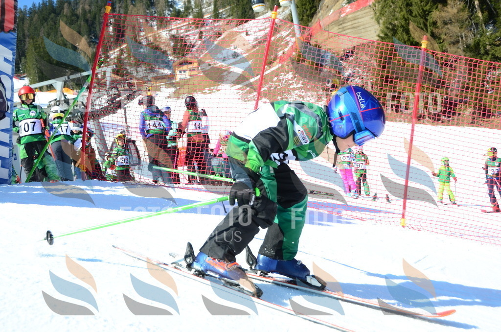 C5594 | holidayphoto