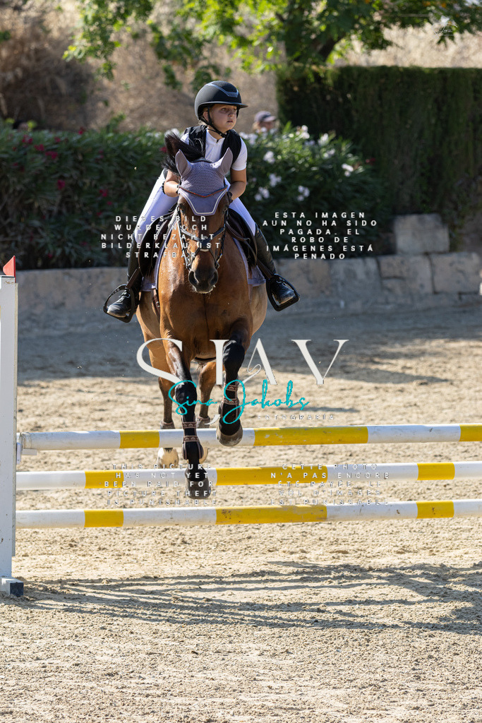 IMG_4785 | s-jay-photography - Realisiert mit Pictrs.com