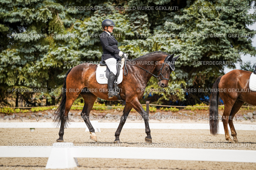 DSC03554 | Pferdegrafie