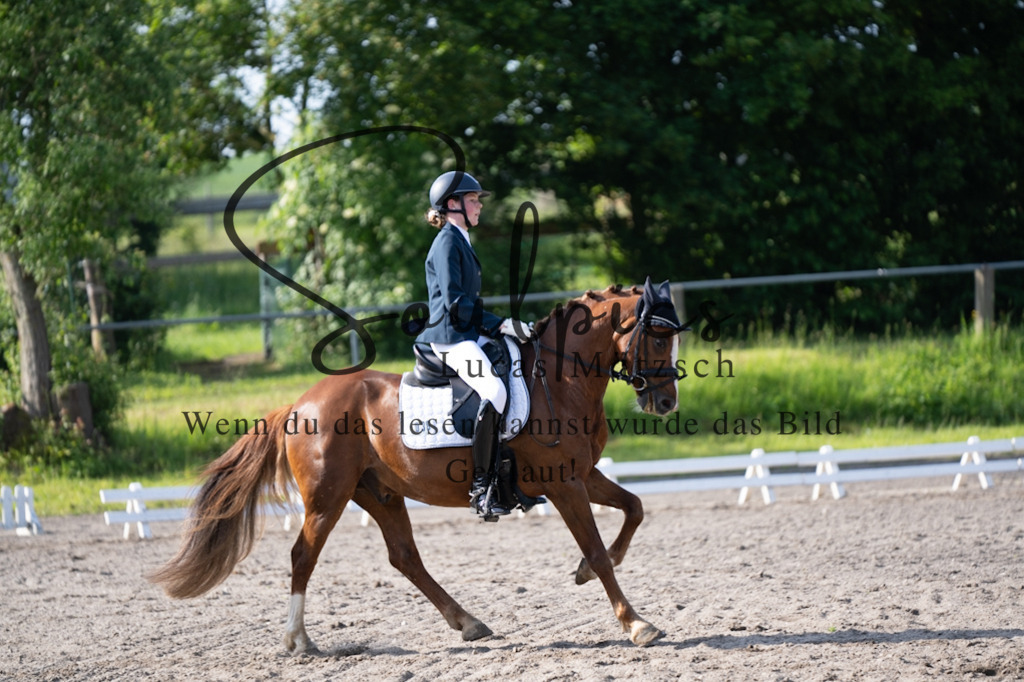 A7V02354 | Pferdefotograf