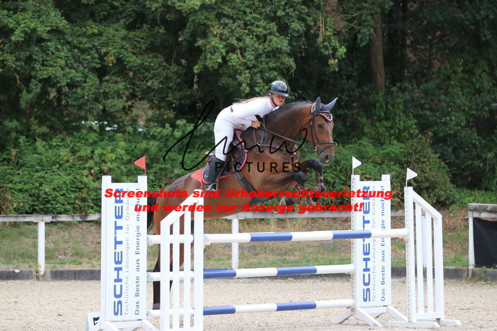 IMG_7828 | lmwpictures - Realisiert mit Pictrs.com