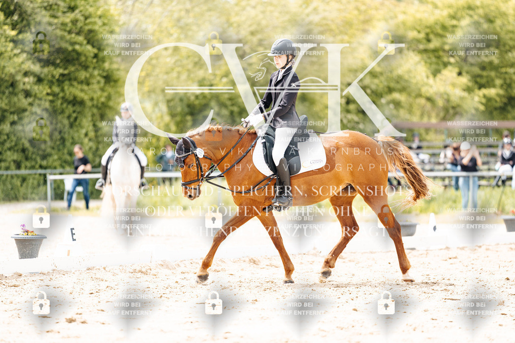 CK902316 | Turnierfotografie Pferdefotografie Trier Rheinland-Pfalz Pferdesport Reitsport Tierfotografie Sportfotografie Pferdevideo Pferdevideografie Equestrianvideography equestrianphotography  - Realisiert mit Pictrs.com