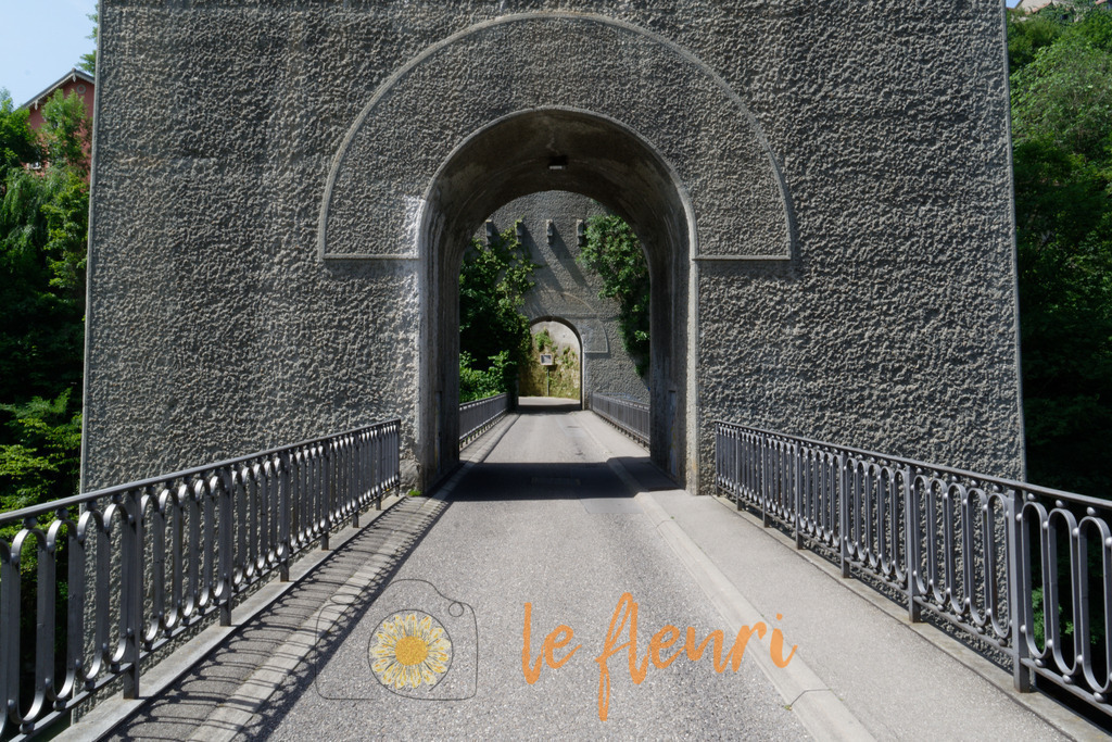 DSC_0035-NEF_DxO_HQ | Dies ist der Shop von Florian Blum - le fleuri. Langenthal, Bern, SchweizSie können hier meine oder ihre eigenen Fotos als Fotoprodukte kaufen. Tassen, Schlüsselanhänger, Taschen etc. können Sie hier gestalten.  - Realisiert mit Pictrs.com