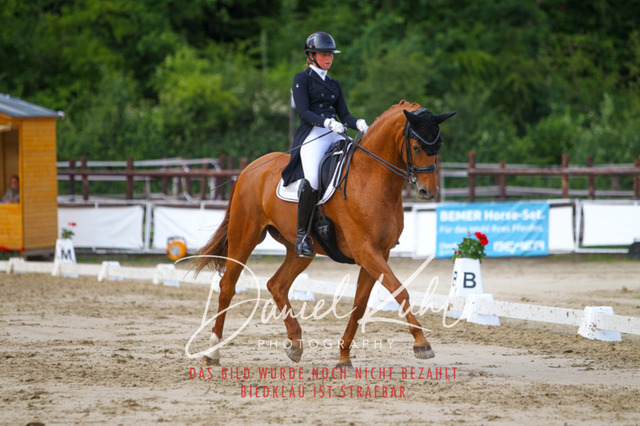 DKP48065 | Turniersportfotografie; Pferdefotografie; Dressurfotografie