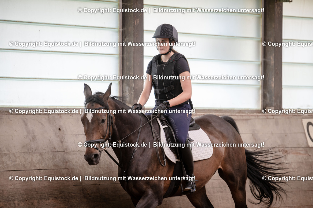 20250725_Vielseitigkeitslehrgang-Marbach_0011 | Foto: Thomas Hartig