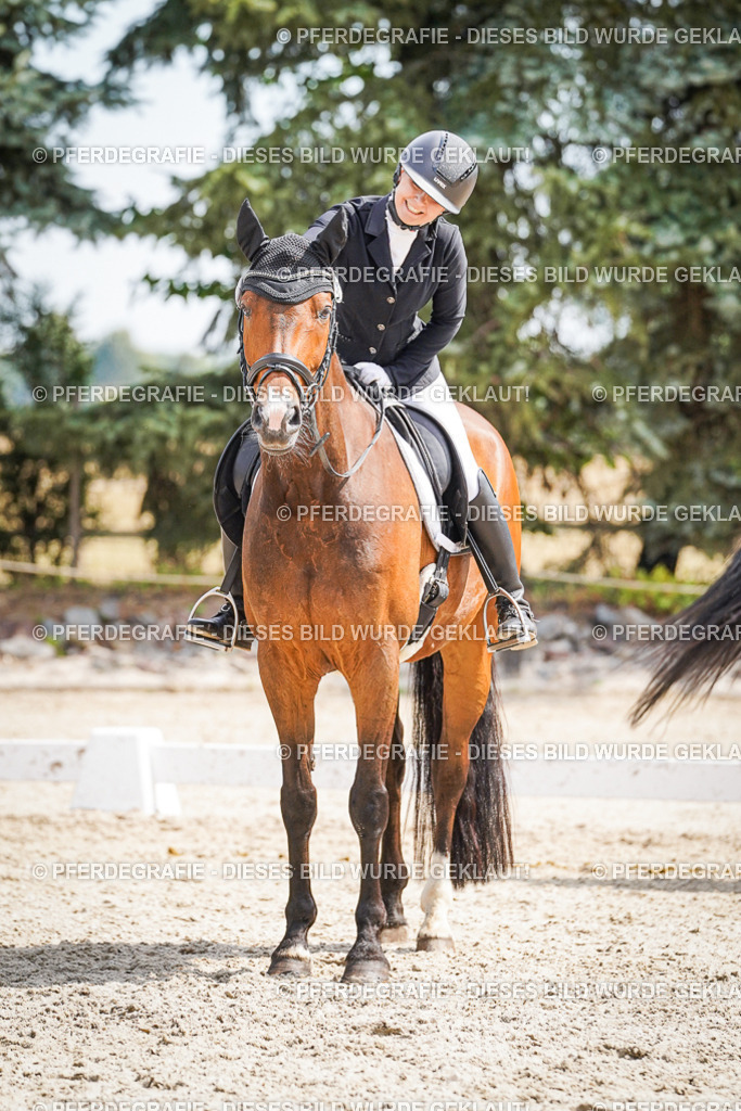 DSC02194 | Pferdegrafie