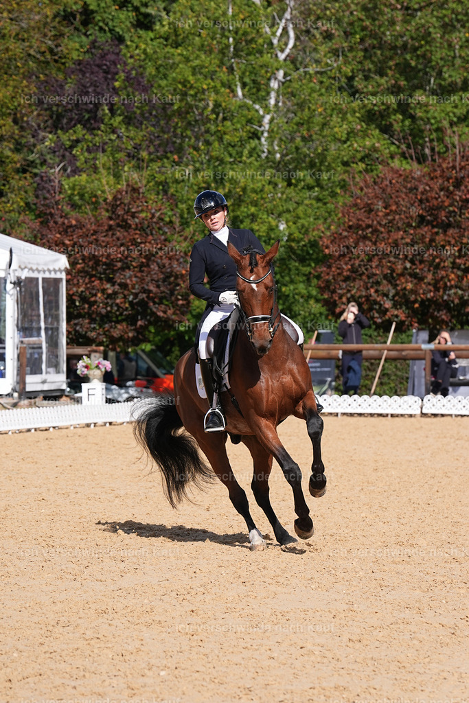 09_2-001-DRESSUR  S_  -Marixx-5955 | working equitationturnier fotograf videograf stoibphotography marixx film working equitation deutschland reitsport turnierfotografie eventfotografie equestrian events