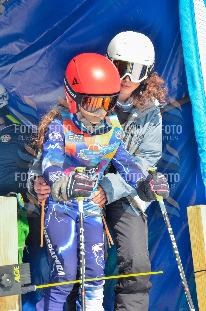 _ELE5959 | holidayphoto