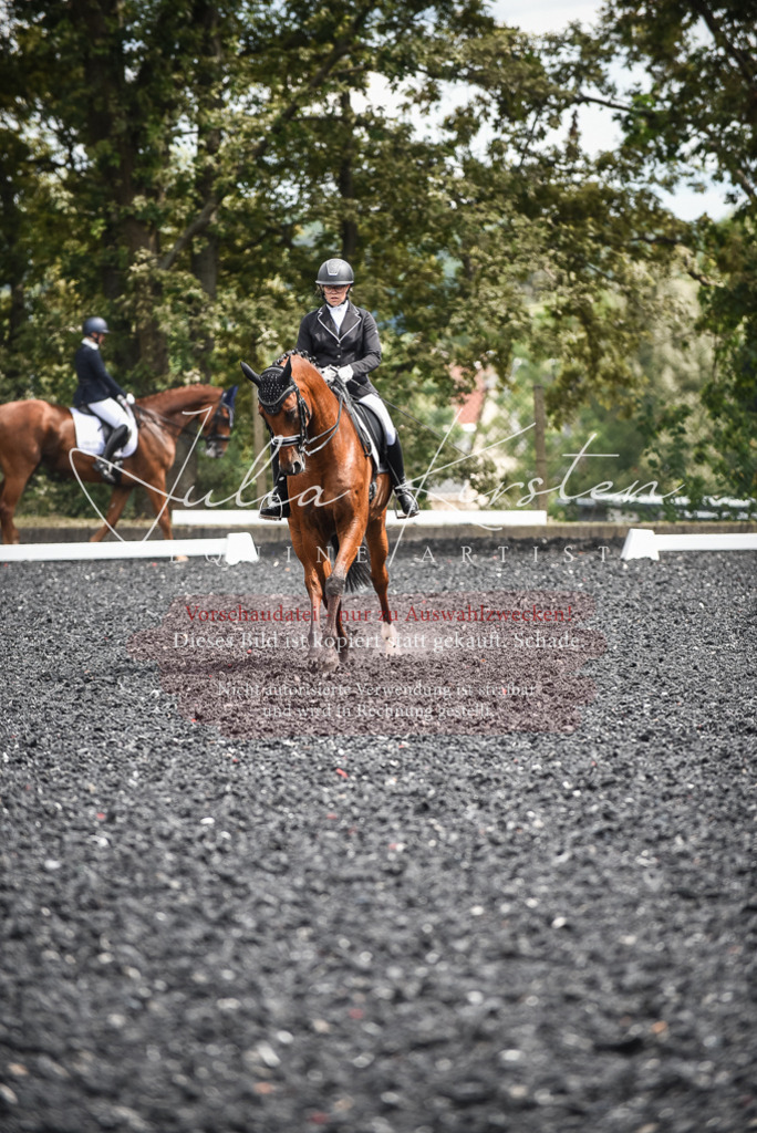 DSC_4985 | Pferde- und Turnierfotografie in Westsachsen. Pferdeportraits, Auftragszeichnungen und intuitive Kunst.