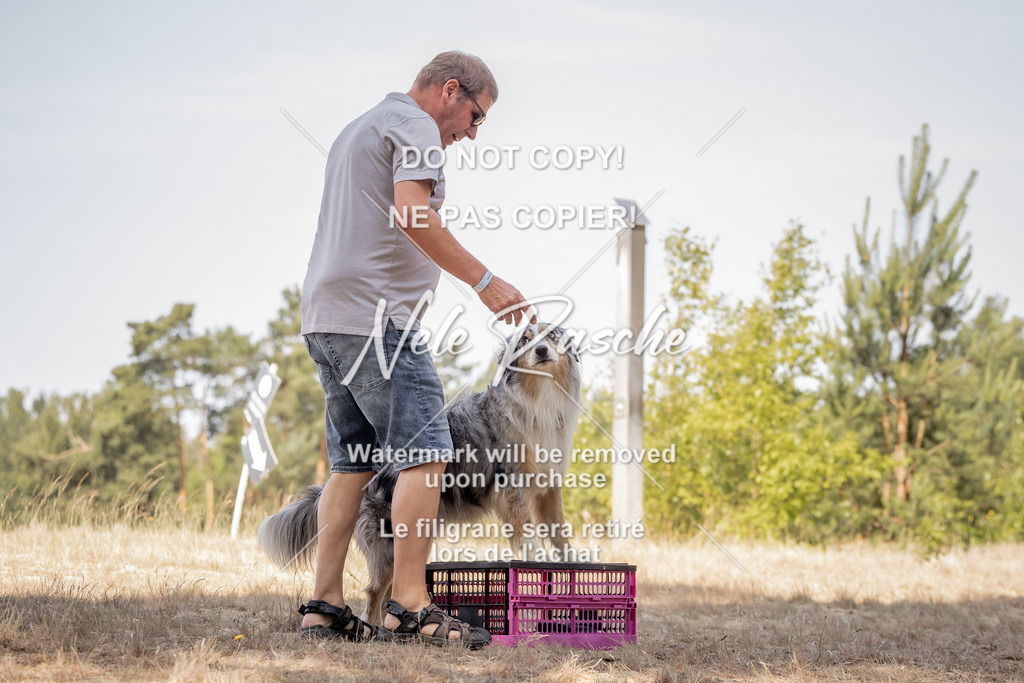 nelerasche_soDD2_95 | nelerasche