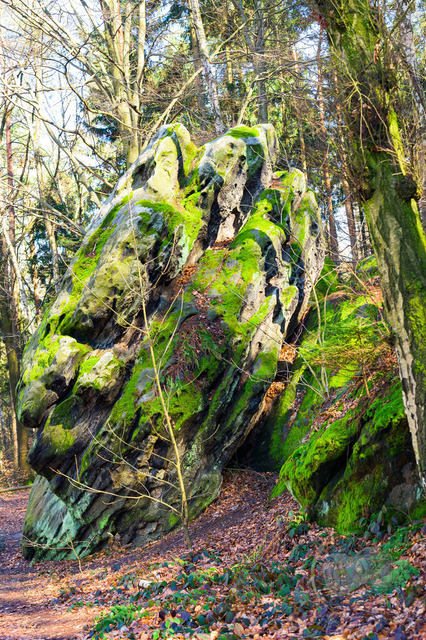 _DSC9956 | Shop für Prints Landschaftsfotografie Sächsische Schweiz Naturfotografie in Thüringen Fotos vom Findlingspark Nochten Kloster Sankt Marienstern Bilder Festung Königstein PanoramaRhododendronpark Kromlau FotogalerSchleswig-Holstein Küstenlandschaften