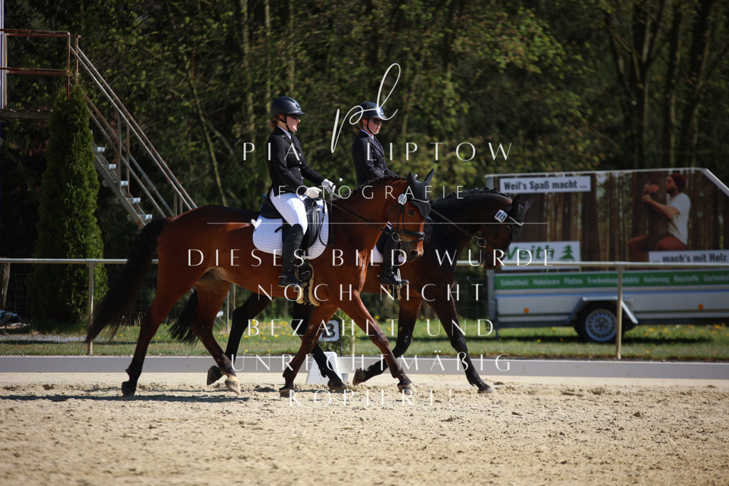 IMGT1947 | pl-fotografie