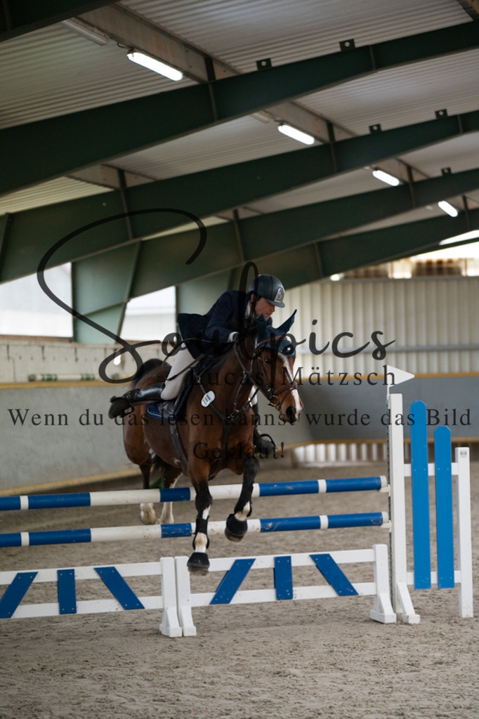 A7V07325 | Pferdefotograf