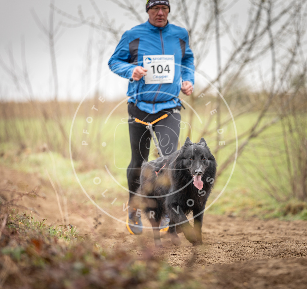 DV3A0185 | Hundefotografie, Tierfotograf, Pfotenfotografie, Fotoshooting Hund, Hunde Portrait, Hundesport, Hundeportraits, Heideshooting, Hunde, Sportfotograf, Hundefotograf, Turnierhundsport, THS,  - Realisiert mit Pictrs.com