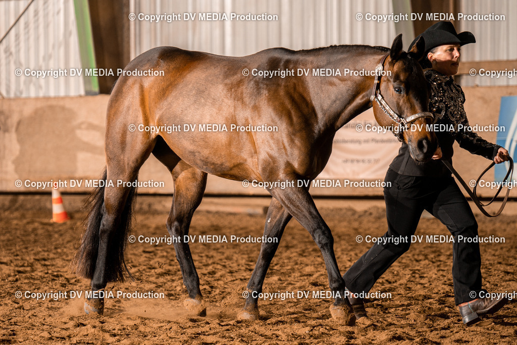 BAL01191 | dv-media-shop - Realisiert mit Pictrs.com