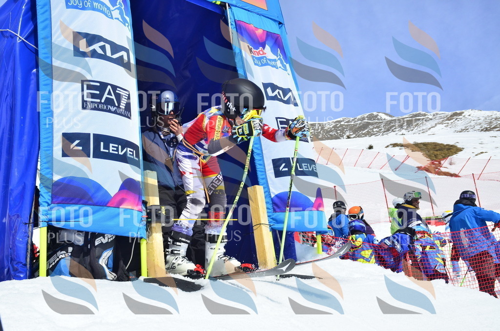 _ELE1347 | holidayphoto