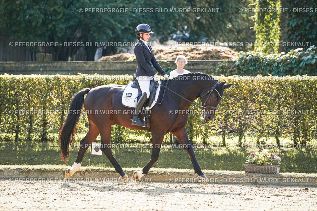 DSC06368 | Pferdegrafie