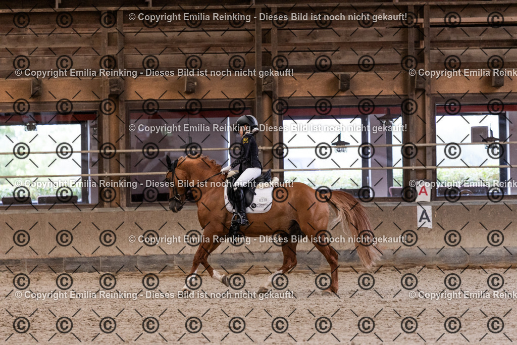 CL5A5251 | Emilia Reinking Fotografie - Realisiert mit Pictrs.com