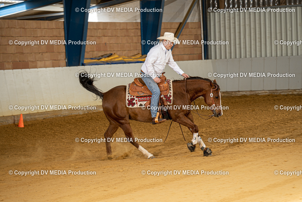 MIT00112 | dv-media-shop - Realisiert mit Pictrs.com