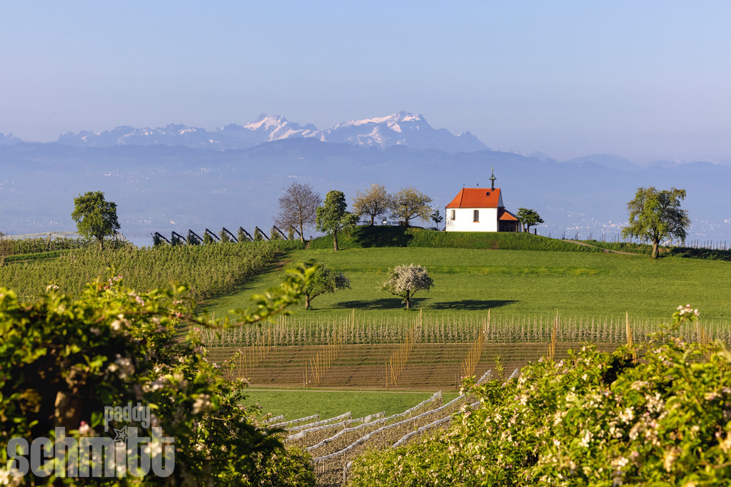 Antoniuskapelle bei Nonnenhorn am Bodensee | Die Antoniuskapelle bei Nonnenhorn liegt idyllisch am Bodensee und eröffnet einen eindrucksvollen Blick auf den majestätischen Säntis. Die ruhige Landschaft und die markante Bergkulisse verbinden sich zu einer stimmungsvollen Aufnahme, die den besonderen Charme dieser Region einfängt. - Realisiert mit Pictrs.com
